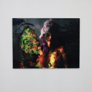 Digital Artwork by Majeed Saeeyan 2013