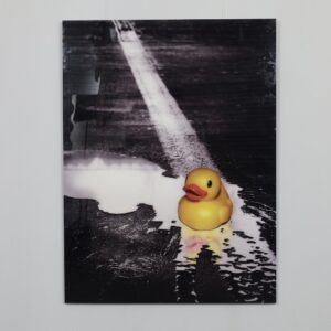 Ivana Vostrakova - "Spring Swimming" Digital Artwork, 2013