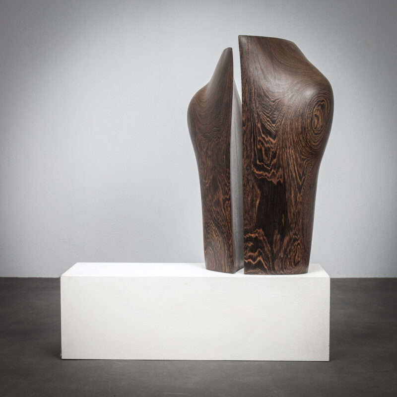 Breathing Organic Wooden Sculptures by Ineke van Zuuren, 1970s