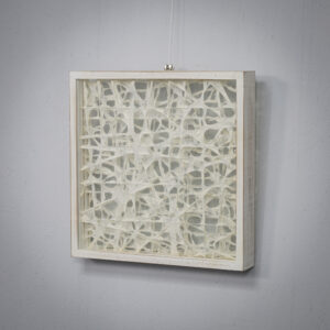 Organic Fiber Art Composition in Glass Shadow Box Frame 1990s