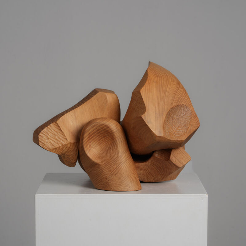 Organic Abstract Wood Sculpture by Joop van Bergen, Netherlands, 1980s