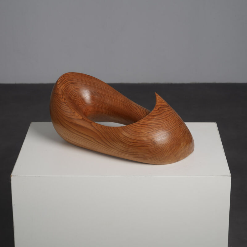 “Flying Solo” Abstract Organic Wood Sculpture by Ineke van Zuuren, Netherlands, 1970s